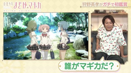 まどマギってどっちが悪いと思う？