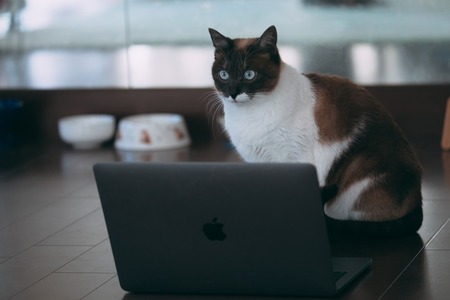 結局PCって今が買い時なん？