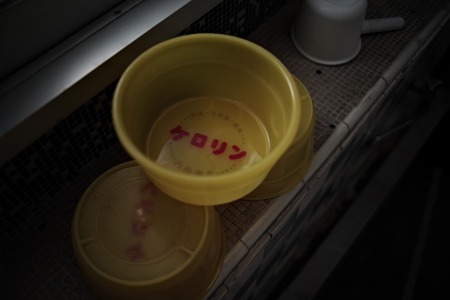 温泉の男湯に女性スタッフが入ってくる問題