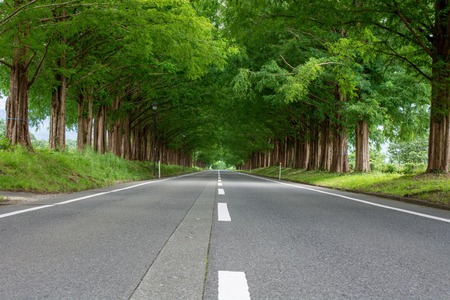 運転上手い奴の特徴