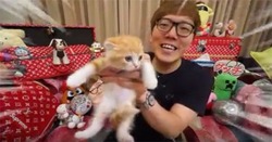 5b5f12d566389_1027288806