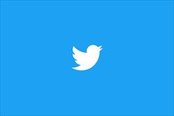 twitter-bird-blue-top