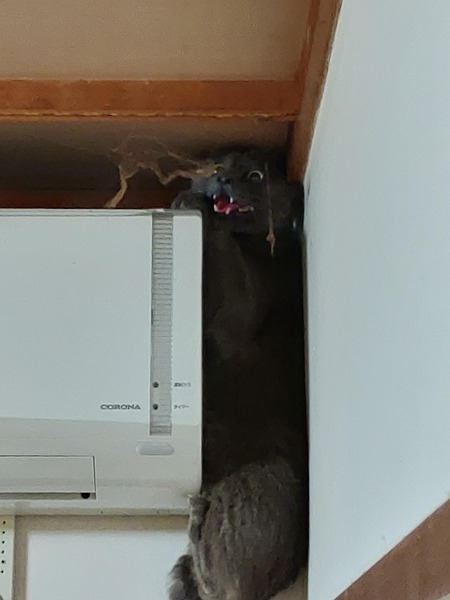 no title