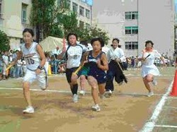 ダウンロード (2)