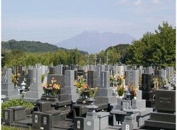 m_amarecco0021_result