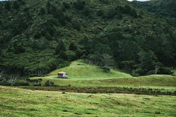 田舎