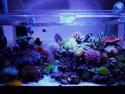 125397355408516404274_P1040411