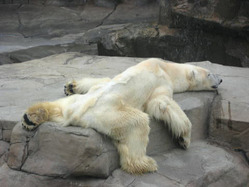 o0480036013971089852