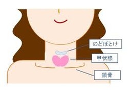 ダウンロード (2)