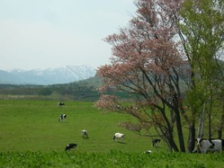 4e84286e525deddf77a23b7ef85f9f77_s