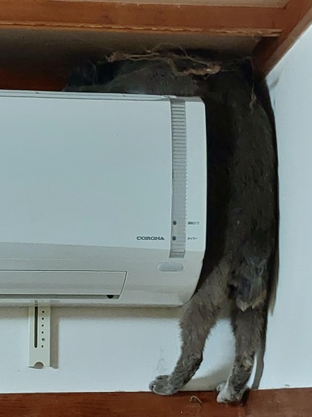 no title