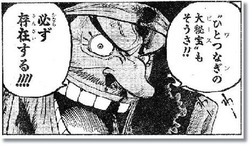 onepiece_syotai