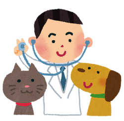 pet_doctor