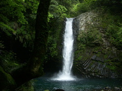 b0019140_1858596