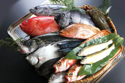 海産物