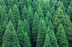 ダウンロード (4)