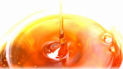 04061759_4d9c2b667affb