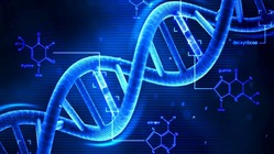 DNA