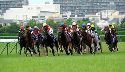 GR0000001135_0001_SMALL