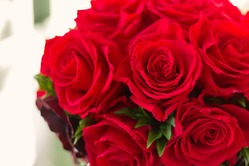 charged_rose151