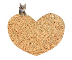 b5ed9b764db837a1c0d30864e37386ba_s