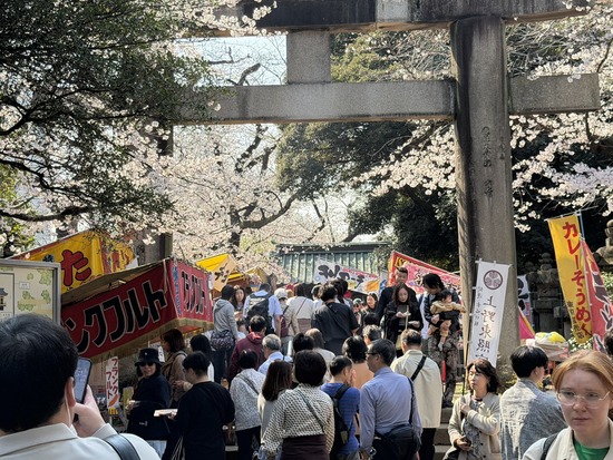 【画像】東京の人達、桜を見に上野公園に殺到ｗｗｗｗｗ