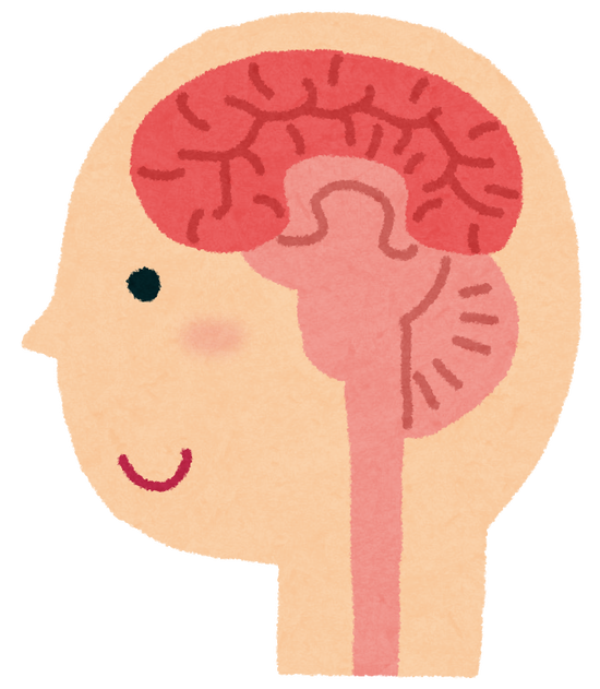 「ヤバい」「それな」で会話していると脳が止まる・・・？