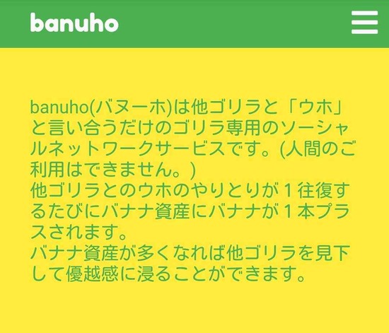 「いいね」ではなく「ウホ」を送りあうゴリラ専用SNSが爆誕ｗｗｗ