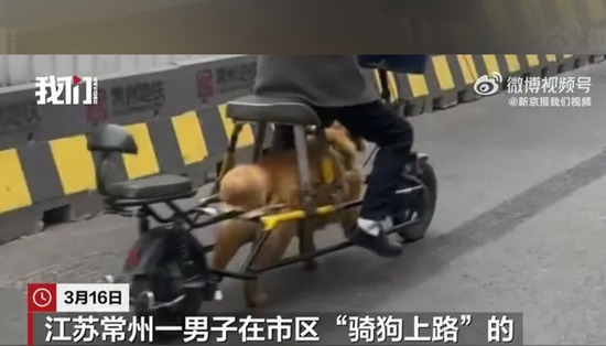 【画像】イッヌ、改造されてバイクにされてしまう…