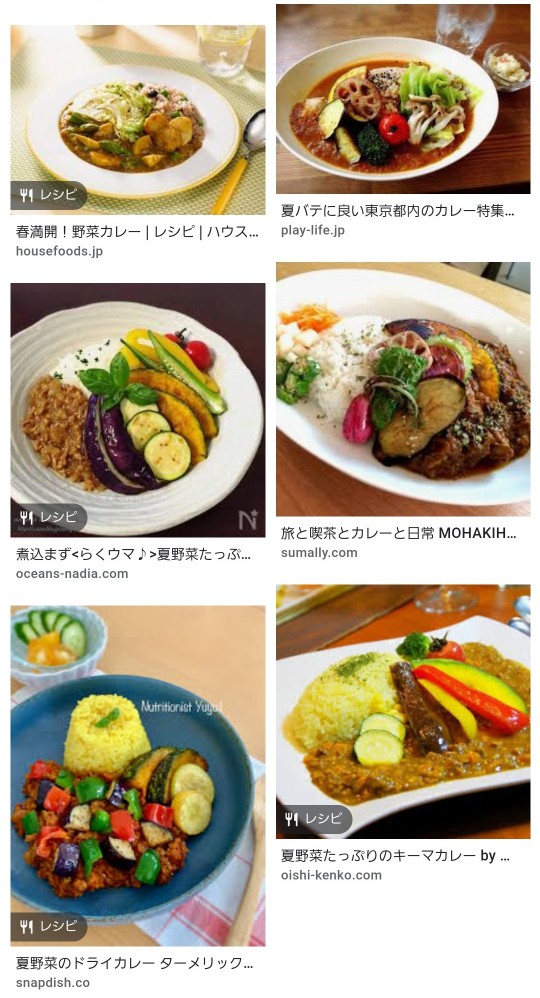 【画像】女性「男性が一番好きなカレーはこういうのです。これ食べて夏バテ乗り切ろう！」