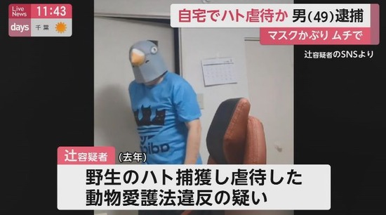 【画像】鳥のマスクを被り鞭で鳥を殺した男、逮捕・・・・・
