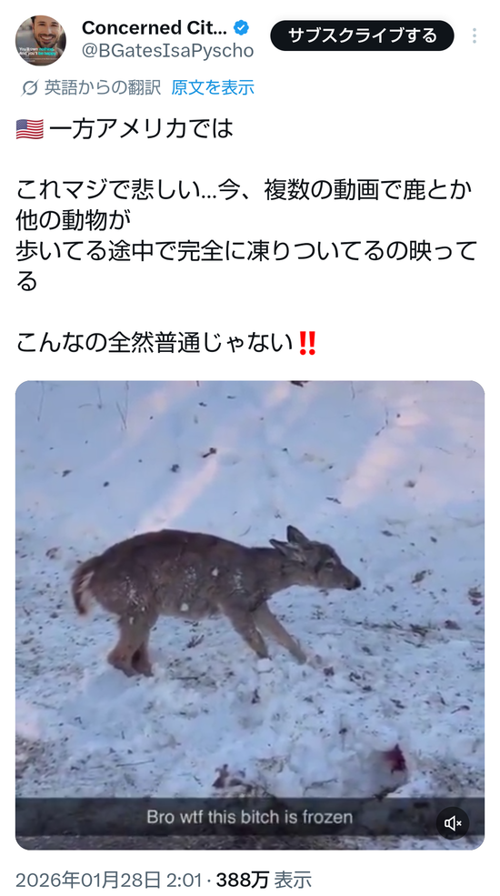 【動画】アメリカの鹿さん、歩きながら凍ってしまうｗｗｗｗｗ