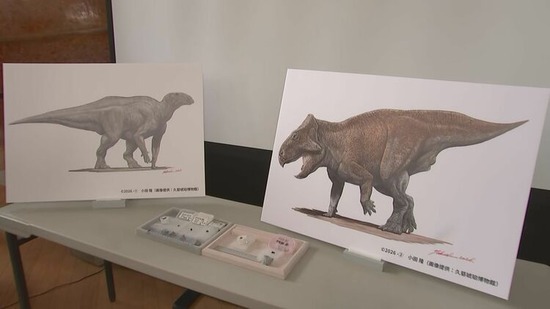 イグアノドンやトリケラトプス類の歯、東日本で初発見　研究者「全身骨格あるかも」