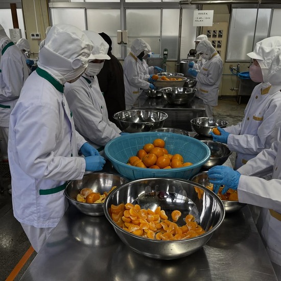 【画像】みかんの缶詰工場、レベチｗｗｗｗｗｗ