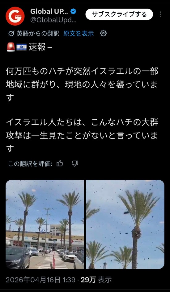 【画像】ハチが大量発生しイスラエルを襲うｗｗｗ