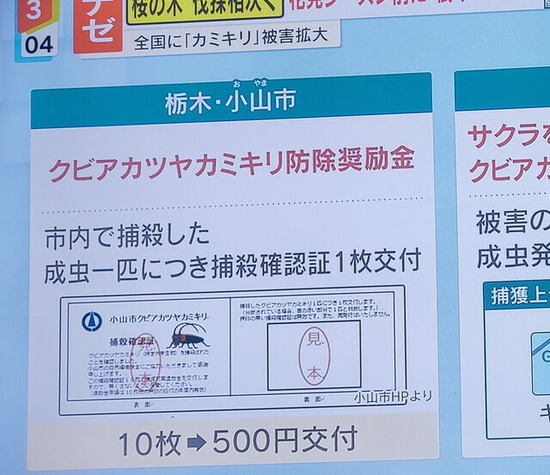 【画像】狩猟解禁！栃木で害虫?10匹で500円の報奨金ｗｗｗｗｗ
