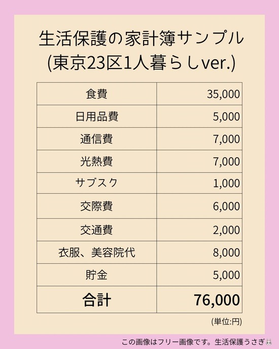 【画像】生活保護の「リアルな家計簿」がこれ...カツカツだよ