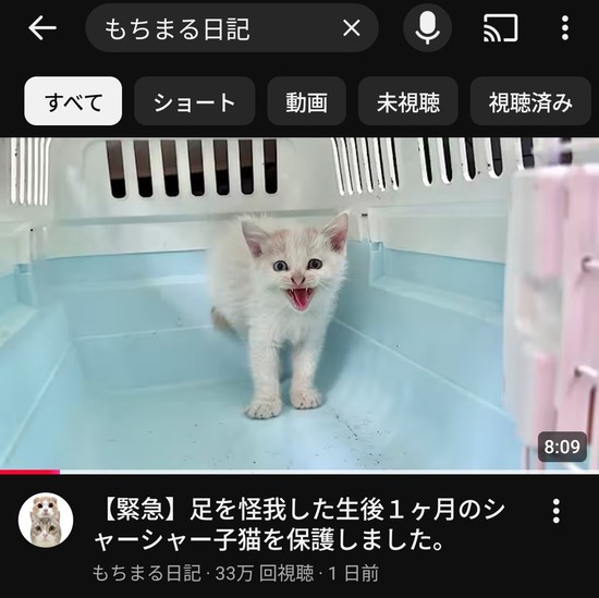 【画像】もちまる日記、足をケガした生後１か月の子猫を保護ｗｗｗ