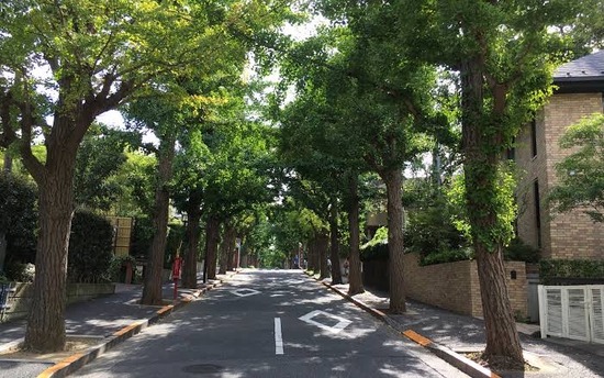 【画像】「真の上級国民」、なぜか絶対にタワーマンションに住まないｗｗｗｗｗｗｗ
