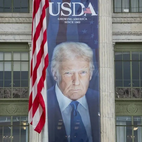 【画像】アメリカ、至る所にトランプがいるディストピアに・・・