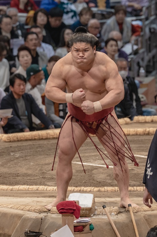 【画像】力士、ムキムキだった・・・・・