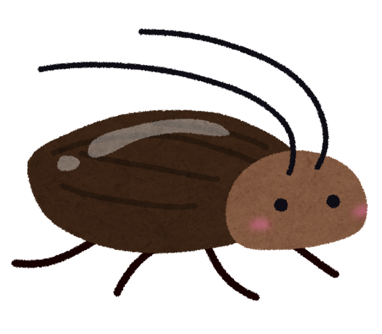 bug_gokiburi