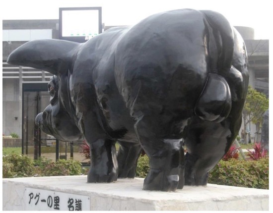 【画像】沖縄市議「イヤアアアアア！！国道沿いのアグー豚像に玉が付いてるのおおお！！」