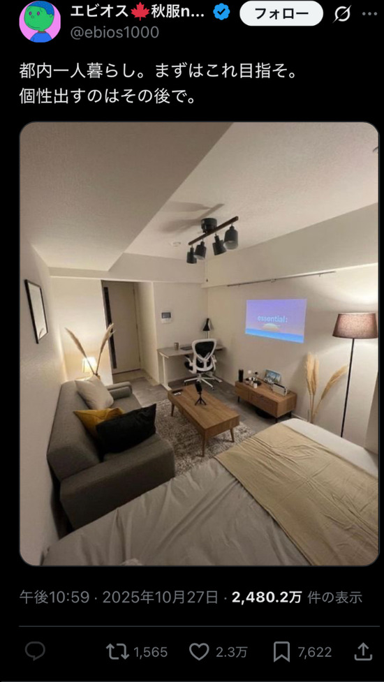 【画像】「狭い部屋をオシャレにしようとする東京都民、逆に痛々しい」都民ブチギレｗｗｗ