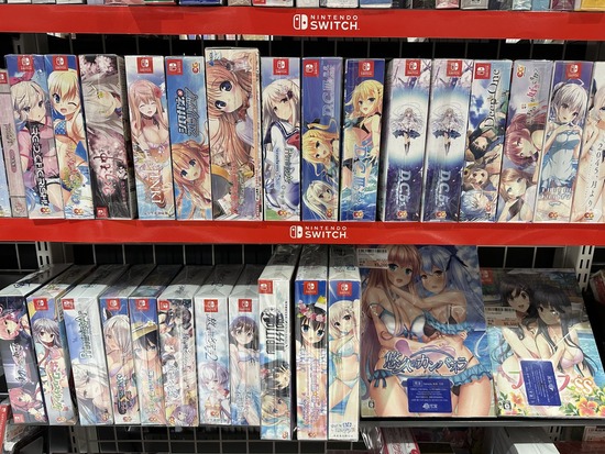 【画像】switchの売り場、エロゲみたくなってしまう・・・・・