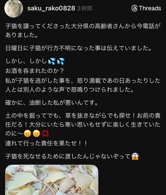 【画像】女さん、譲渡してもらった猫を逃してしまい貰った相手にブチ切れられる・・・