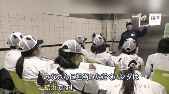 【画像】白浜町、パンダが消えて気が狂い飼育員に笹の葉を食べさせてしまうwwwwwwww