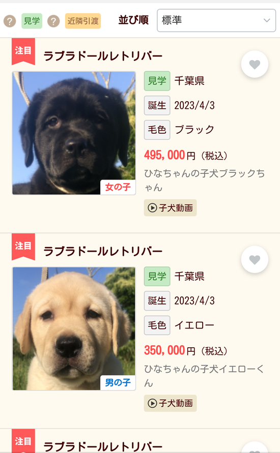 【画像】この最新のラブラドール、一体で500,000円もして草ｗｗｗｗｗｗ