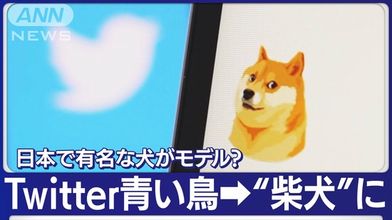 【画像】ツイッターがアイコンを日本の柴犬に変更ｗｗｗｗｗｗｗ