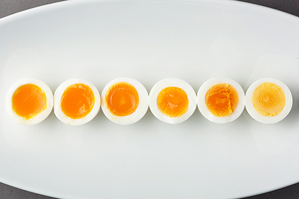 egg00_top